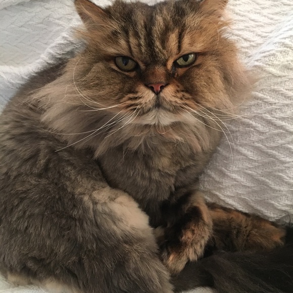 Meet your Posher, Valerie - Picture 1 of 1